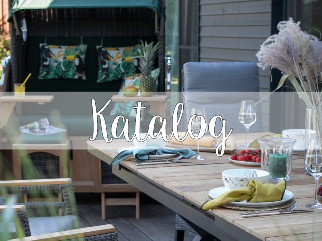 20230215 Katalog 2023 Beitrag