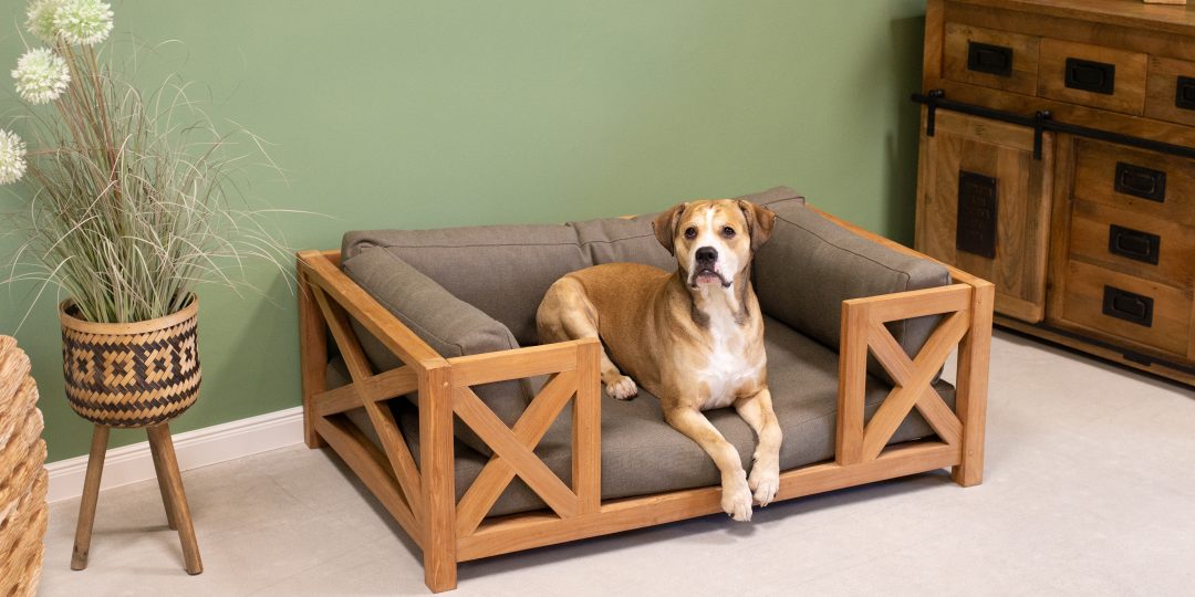 66256 Woodie Hundebett Bruno inkl Kissenauflage 01 66256 Woodie Hundebett Bruno inkl Kissenauflage 01