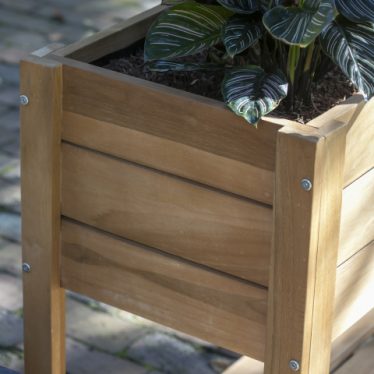 66230 Woodie Hochbeet Kraeuter Milieu  3