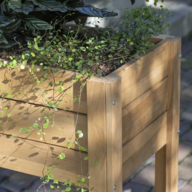 66230 Woodie Hochbeet Kraeuter Milieu  4