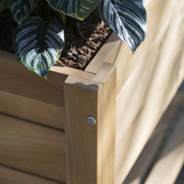 66230 Woodie Hochbeet Kraeuter Milieu  6